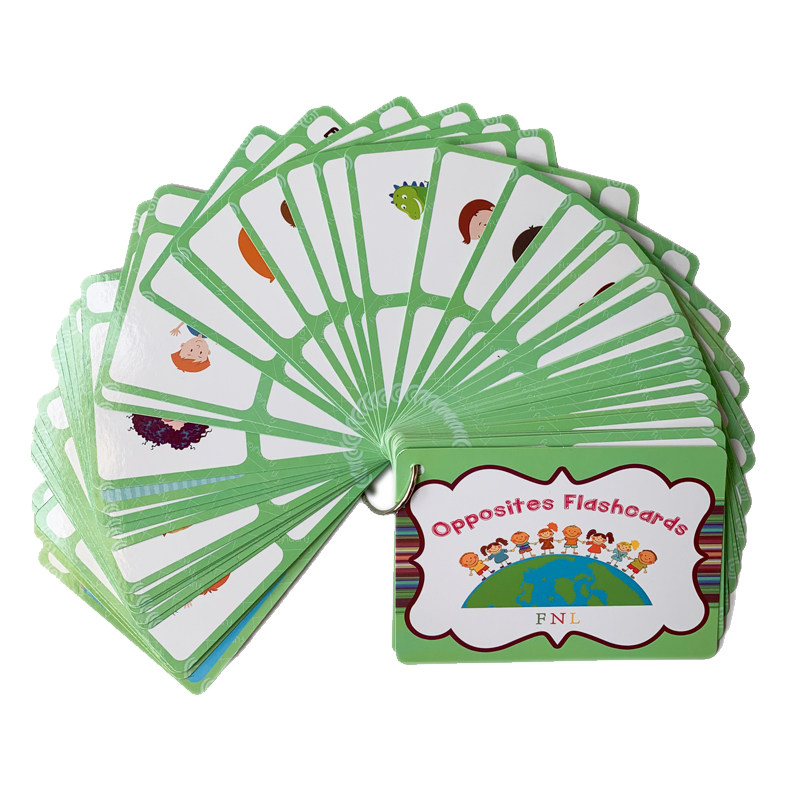 The 100 Groups Opposites Flash - Kids Education Toy ulasan dan harga