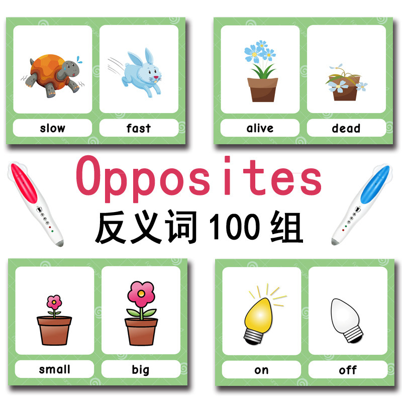 The 100 Groups Opposites Flash - Kids Education Toy ulasan dan harga