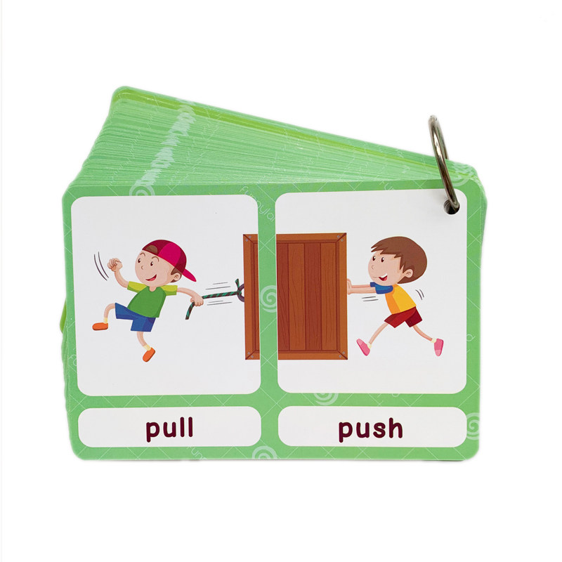 The 100 Groups Opposites Flash - Kids Education Toy ulasan dan harga