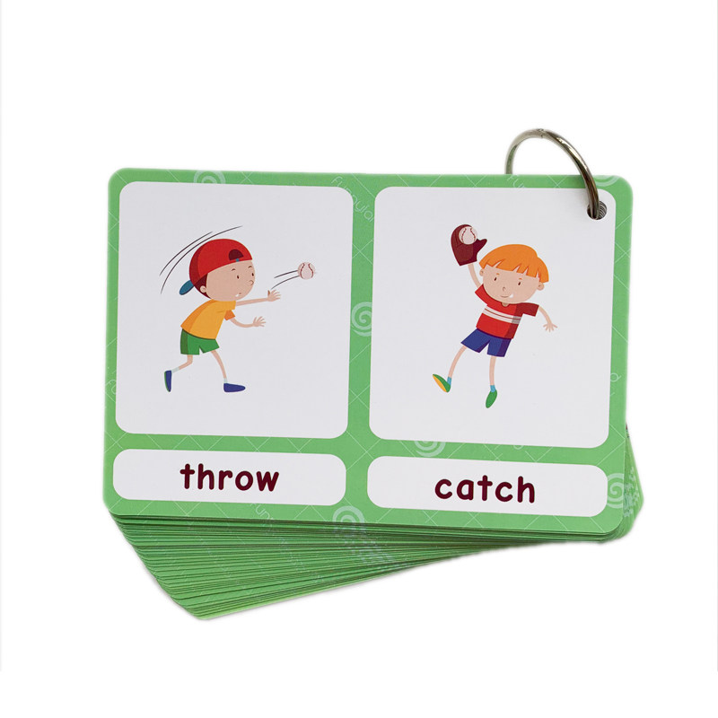 The 100 Groups Opposites Flash - Kids Education Toy ulasan dan harga