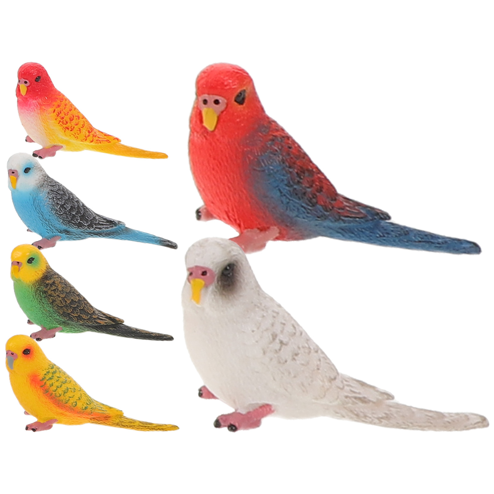 6Pcs Vibrant Realistic Parrot  - Kids Education Learning ulasan dan harga