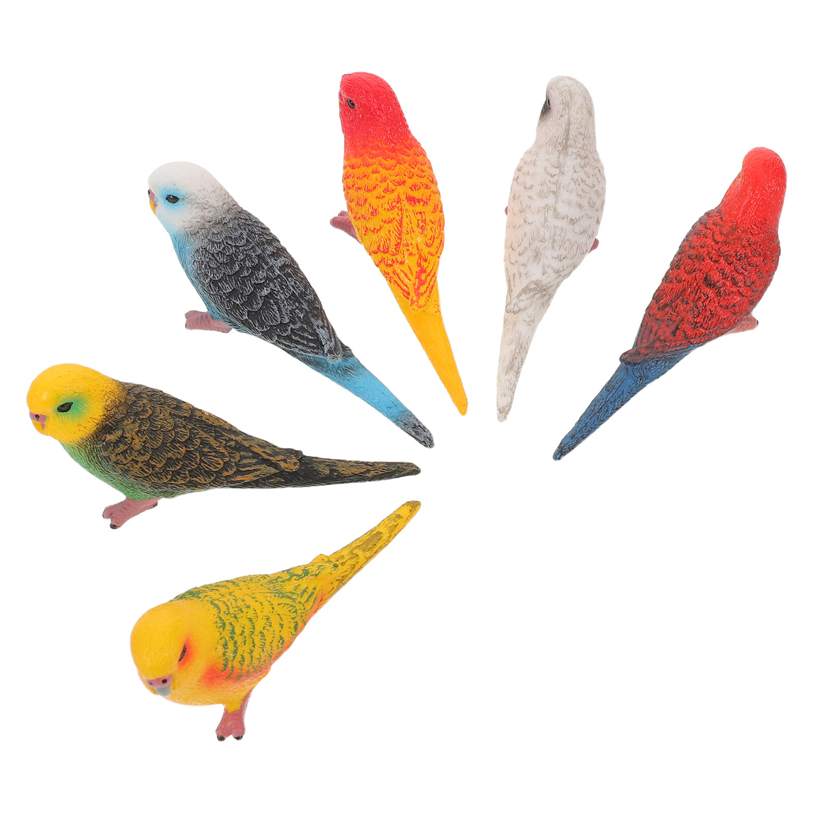 6Pcs Vibrant Realistic Parrot  - Kids Education Learning ulasan dan harga