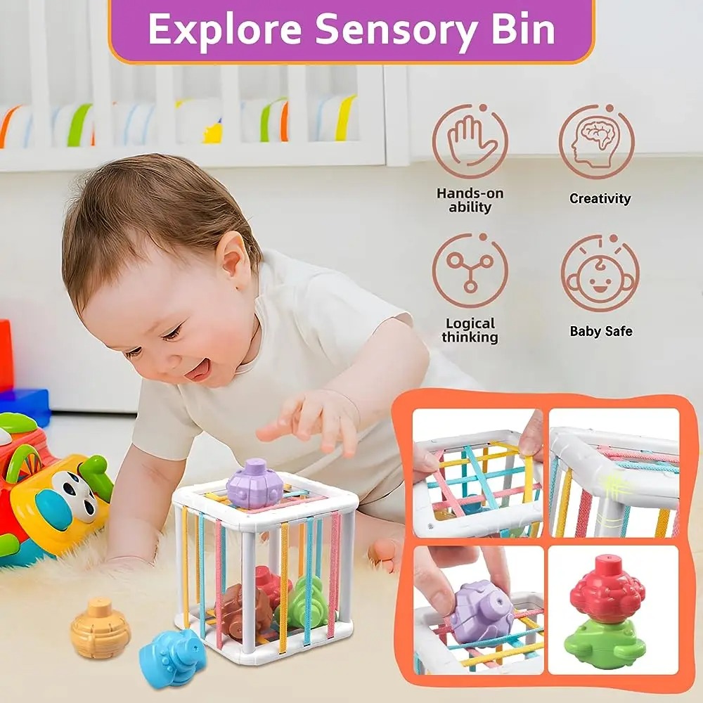 Rainbow Colorful Montessori Sh - Kids Education Toy ulasan dan harga