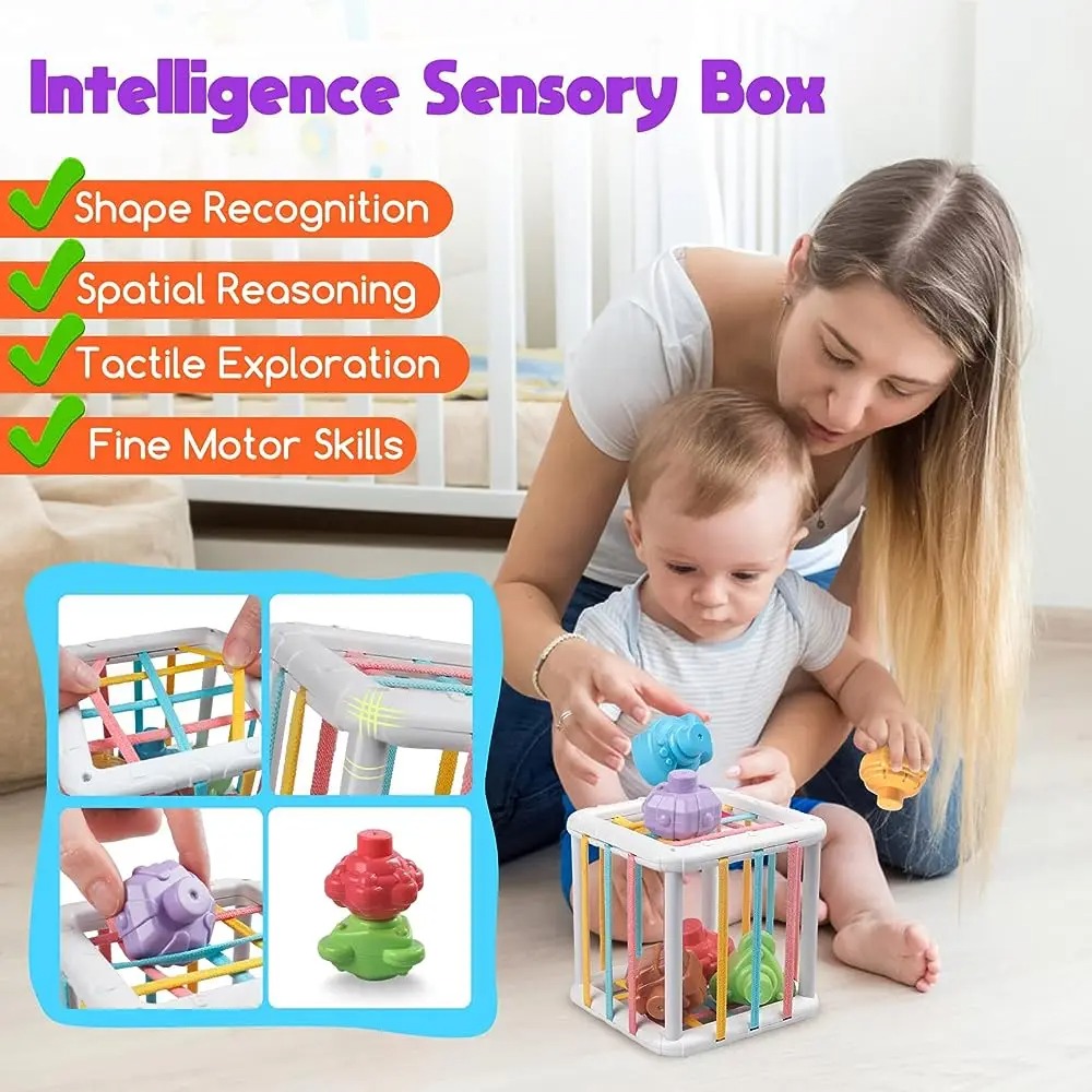 Rainbow Colorful Montessori Sh - Kids Education Toy ulasan dan harga
