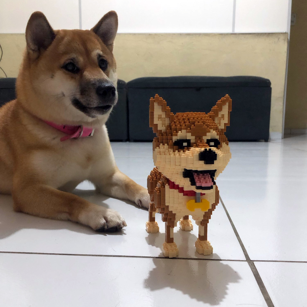 KNEW BUILT Shiba Inu Dogs Mode - Kids Education And Recreation ulasan dan harga