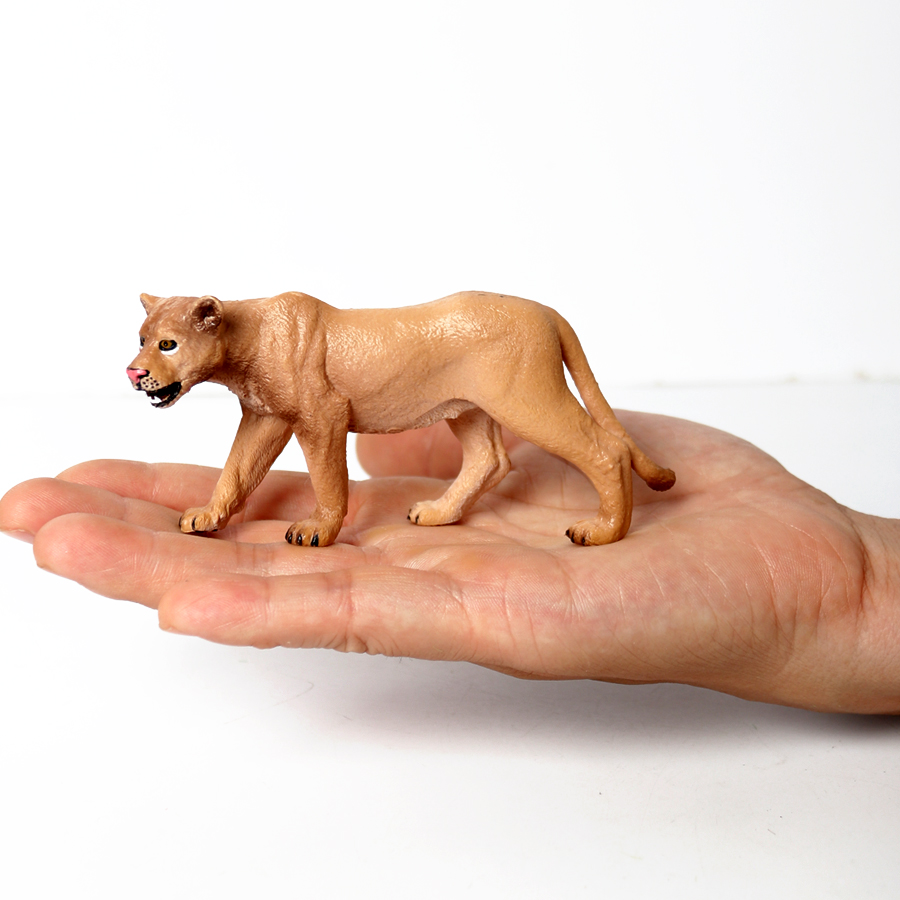 Genuine Wild Animal Kingdom Wh - Kingdom Kids Education ulasan dan harga