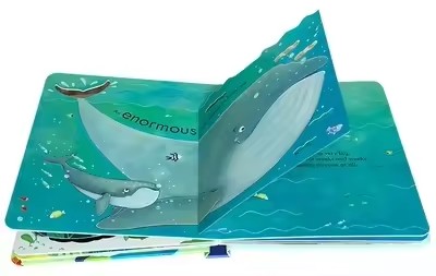Usborne Peep Inside The Sea Ed - Kids Nature Education ulasan dan harga